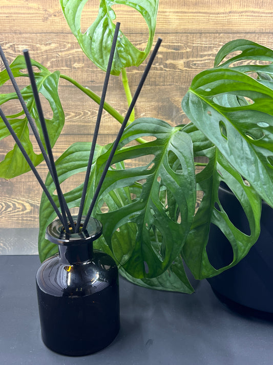 150 ml Amber Diffuser